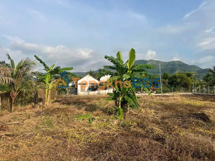 Đất nền Suối Hiệp, Diên Khánh 956m² - Lô góc 2 mặt tiền, giá 4.78 tỷ