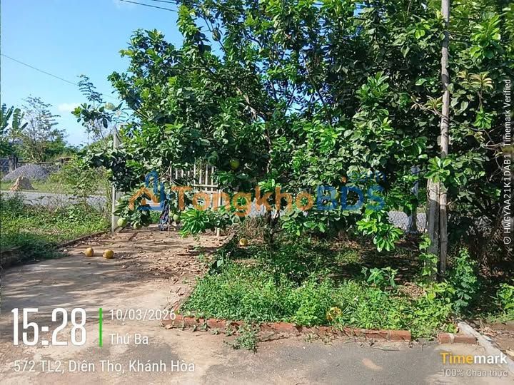 Đất nền Lộc Thọ, Nha Trang 503m² - Tách 2 Sổ, Giá 1.27 Tỷ