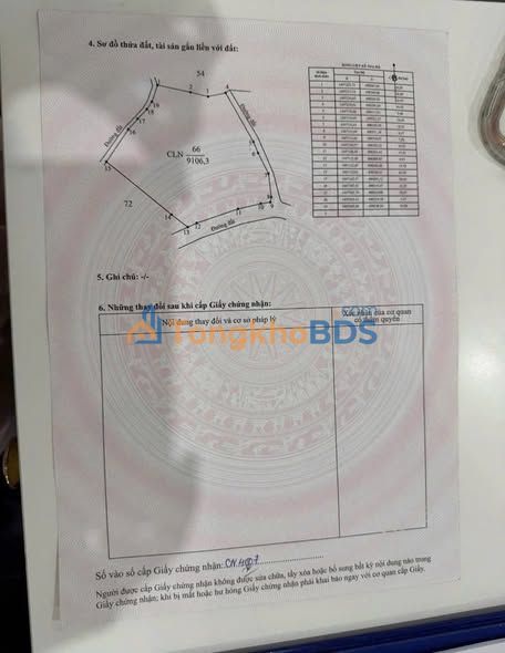 Farm Cà Phê 1ha Đắk Lắk - Sầu Riêng Năm Nhất - 31.5 Tỷ