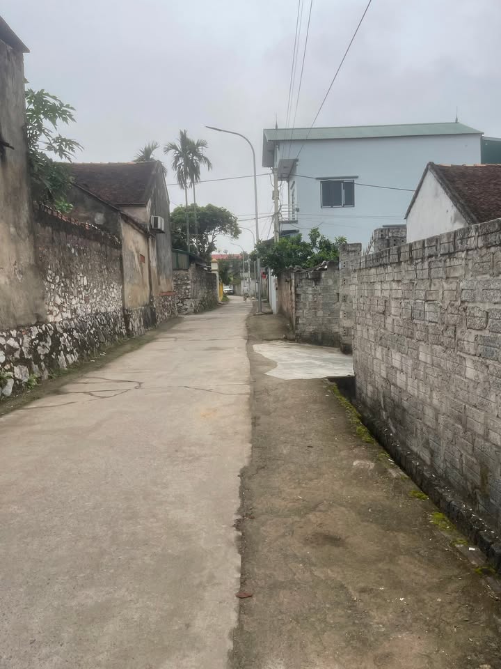 Đất Thổ Cư 73.9m² Thôn Thượng, Ứng Hòa - Giá Hơn 1 Tỷ