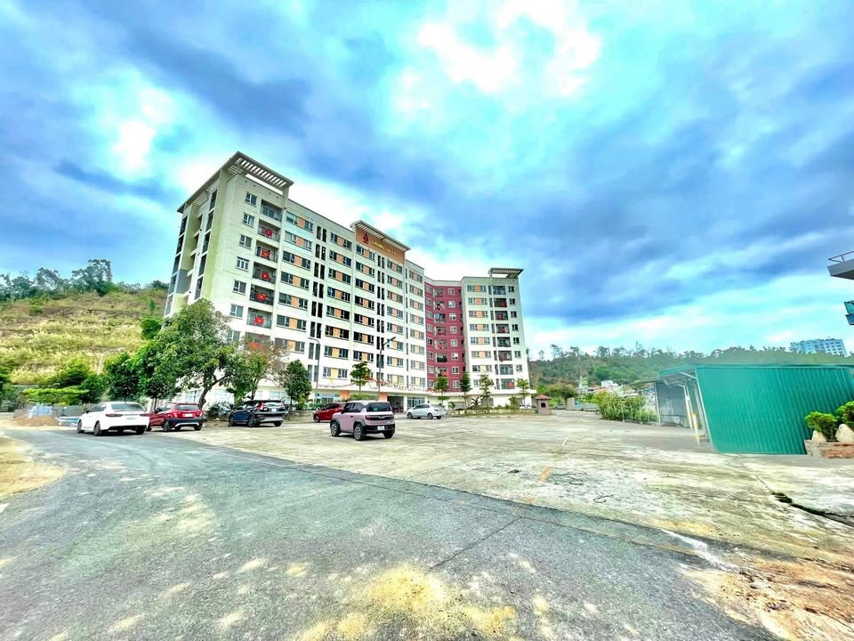 Đất nền góc đồi T5, Hạ Long 256m² - Sổ đỏ sẵn sàng giao dịch