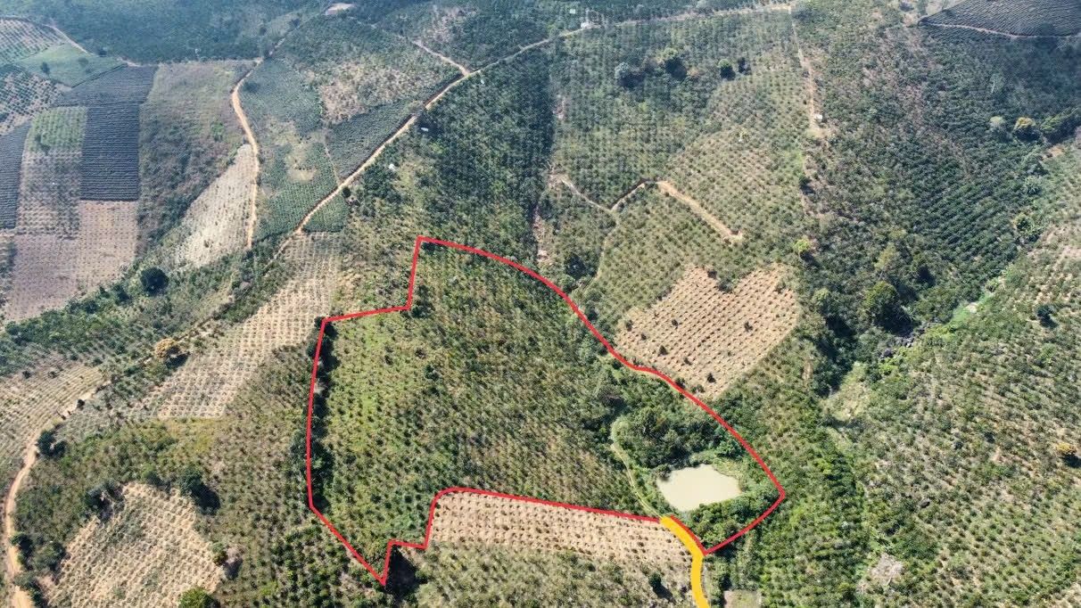 Bán Đất Farm Liên Đầm 20.000m² - Sẵn Hồ Tưới, Giá Đầu Tư
