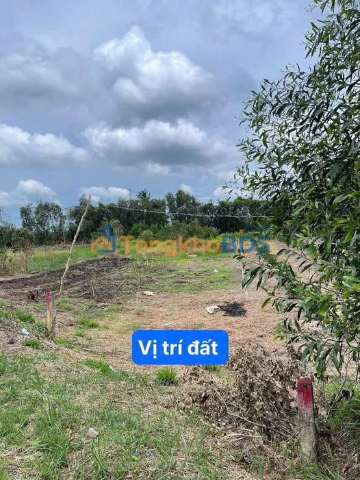 Đất Thổ Cư Bình Đức, Long An - 136m² Giá 350 Triệu, Sổ Hồng Sẵn