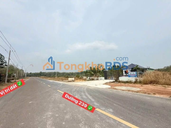 Đất nền Đường 239 Hưng Long 250m² 500 triệu - Sổ đỏ chính chủ