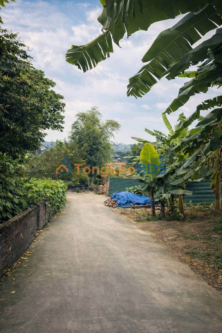 Đất thổ cư 94m² mặt tiền 5m vuông vắn, giá chỉ 1 tỷ tại Khu 6 Vân Phú