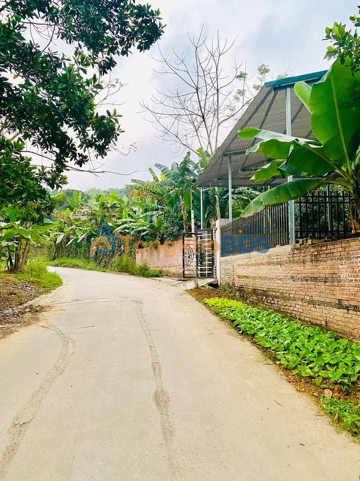 Bán đất nền Thị trấn Thanh Ba, Phú Thọ - 87m², full thổ cư, giá tốt