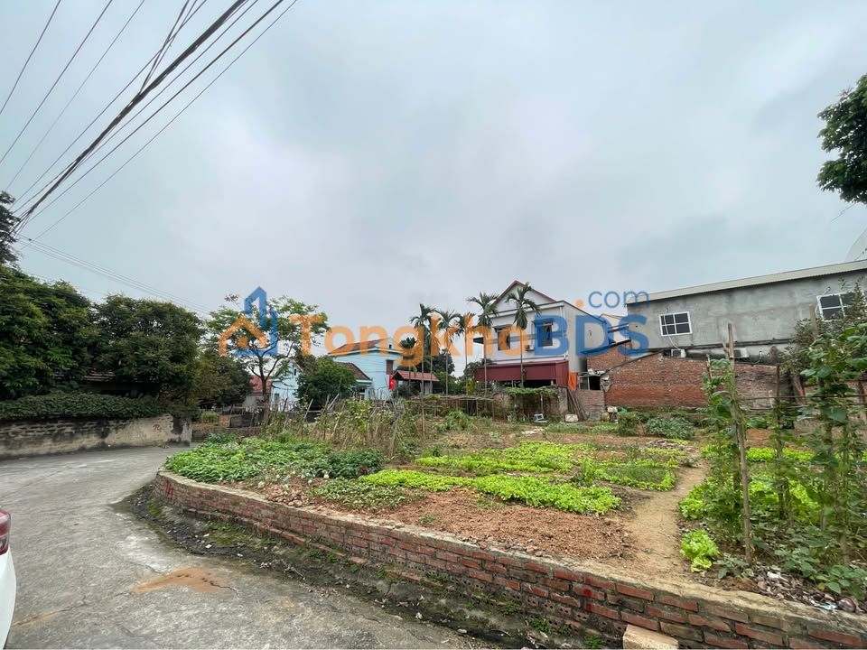 Đất Nền Phường Nông Trang, Việt Trì - 100m² - Sổ Đỏ Chính Chủ - Giá Hơn 1.4 Tỷ