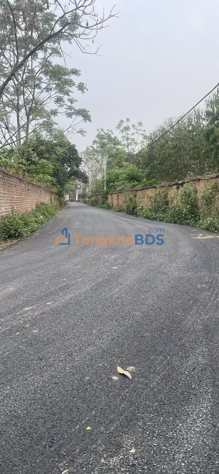 Đất Vĩnh Phúc - 176m² Lô Góc Kinh Doanh Cạnh KCN Tam Dương 2