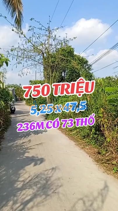 Đất Nền Thổ Cư Phong Điền 236m² - Sổ Đỏ Sẵn Sàng, Giá F0 750 Triệu