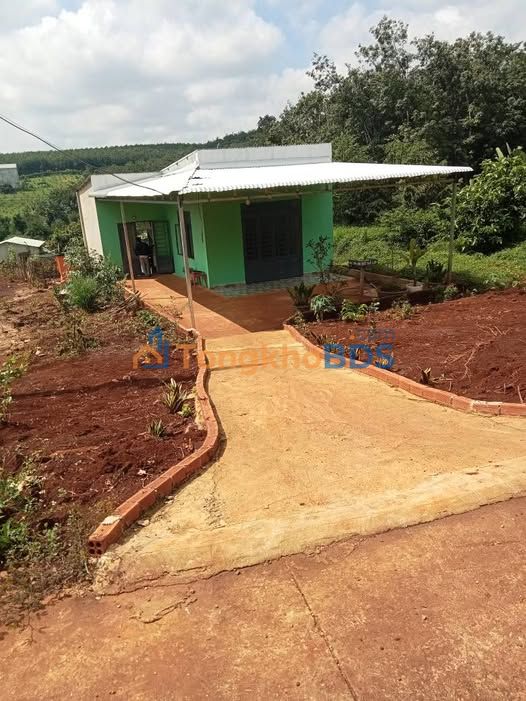 Bán Đất Nền 10000m² Xã Tân Lợi, Hớn Quản - Cơ Hội Đầu Tư Sinh Lời