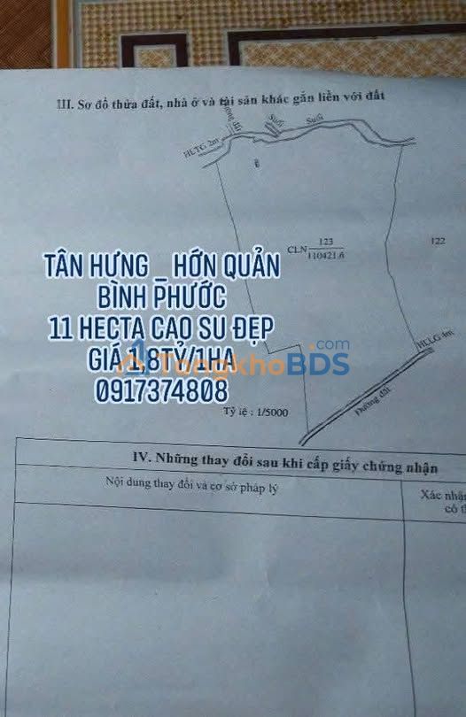 Đất nền Tân Hưng Hớn Quản 11ha 1.8 tỷ/ha - Đường to ô tô