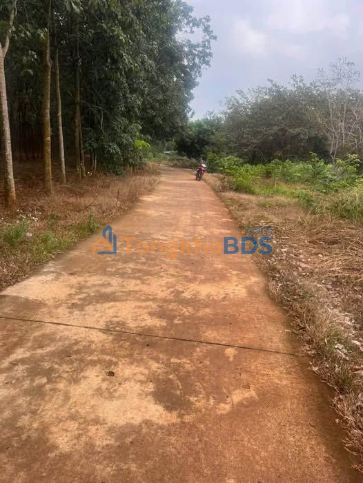 Đất vườn Tiến Thành 1.800m² 1,95 tỷ - Nghỉ dưỡng lý tưởng