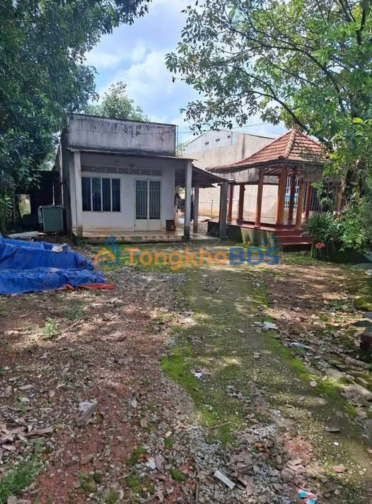 Đất nền 980m² QL14 Đồng Xoài - Giá Ngộp Bank 2 Tỷ