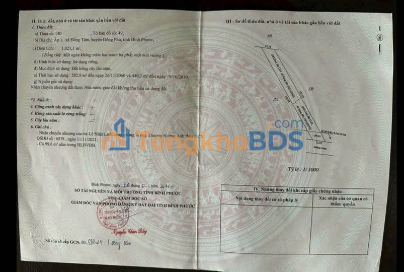 Bán Gấp Đất Nền 360m² Mặt Đường Nhựa Đồng Tâm, Bình Phước - Giá 199 Triệu