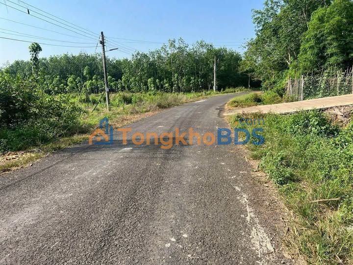 Bán Đất Vườn 4700m² Đồng Xoài - Sổ Hồng Sẵn Sàng Đầu Tư