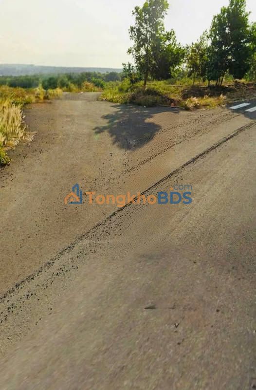 Bán Đất Mặt Tiền Phú Riềng Bình Phước 5100m² - Giá Chỉ Từ 3xx Triệu