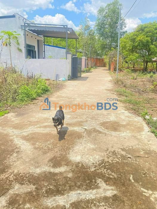 Đất Nền Đồng Xoài 400m² (5x20m) Giá 480 Triệu - Sổ Hồng Sẵn Sàng