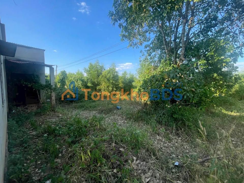 Bán Gấp 16 Lô Liền Kề 15,327m² Bình Phước - Giá Tốt