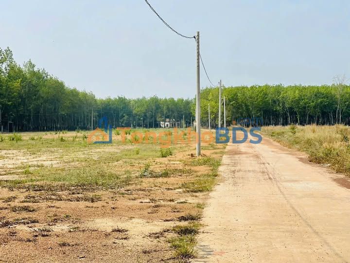 Đất nền Tân Hưng Đồng Phú 225m² 3xx triệu - Đường ô tô