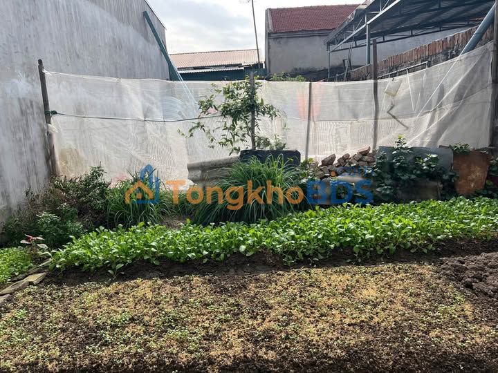 Đất nền Lam Sơn Bắc Ninh 80m² 1.3 tỷ - Tiềm năng tăng giá