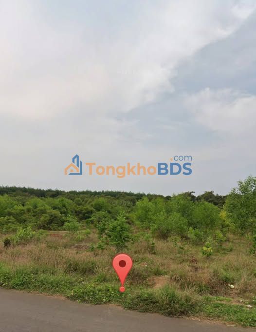 Bán Đất Vàng Đồng Phú, Bình Phước - 14.200m² Mặt Tiền 32m, Sẵn 17 Sổ Hồng