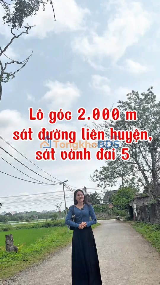 Đất Lô Góc 2000m² Mặt Tiền 80m - Hoà Bình, Sẵn Sàng Đầu Tư/Nghỉ Dưỡng