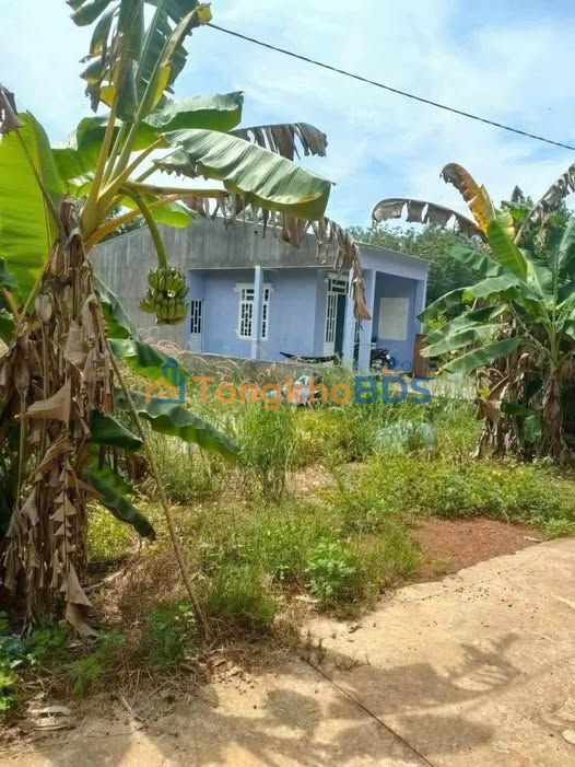 Đất Vườn Bình Phước 2100m² - View Suối Mát Lành, Giá 330 Triệu