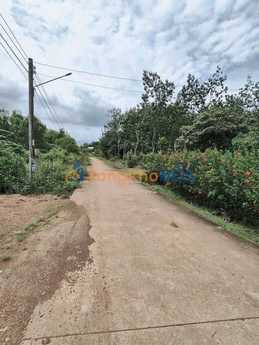 Đất Vườn Đồng Xoài - 750m² - Sổ Hồng Sẵn Sàng - Giá Tốt