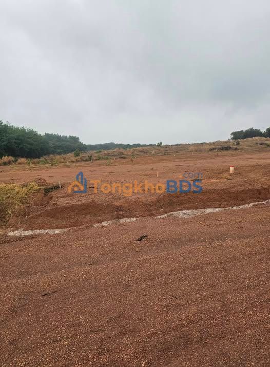 Đất Nền Xuyên Tâm, Đồng Phú - 4000m² - Giá 4xx Triệu - Sổ Đỏ Sẵn Sàng