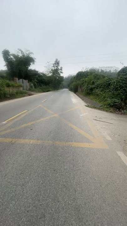 Đất Vĩnh Phúc 698m² mặt QL 2D Tam Đảo - Cơ hội đầu tư vàng