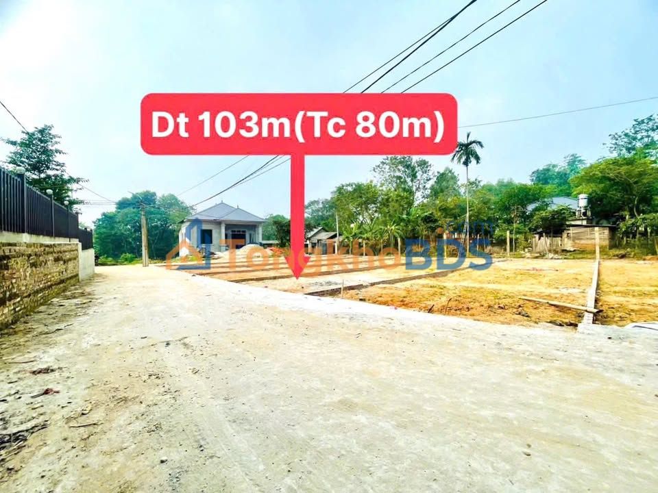Bán đất 105m² Hoàng Hoa, Tam Dương, Vĩnh Phúc - Sổ TC, Đường thông giá 6xx triệu