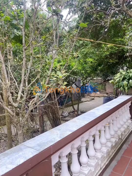 Đất nền 1000m² Phú Thọ - Sổ hồng sẵn, gần Lễ hội Đền Hùng