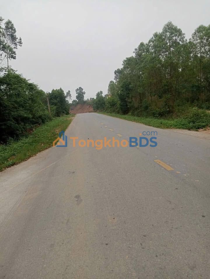 Đất nền 4600m² Phù Ninh - Sẵn sàng đón đầu KCN Phú Ninh