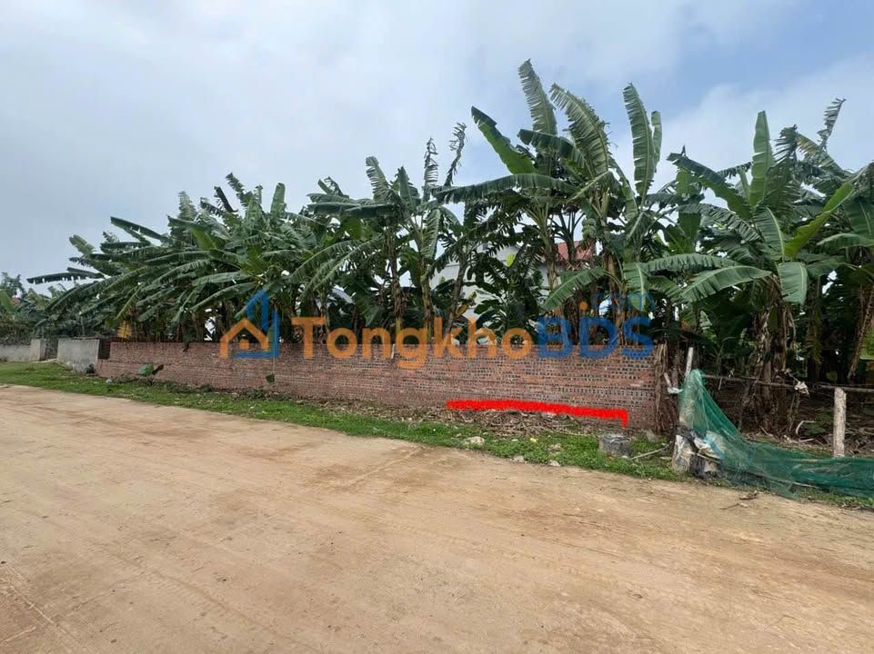 Đất Nền 100m² ONT, Mặt Tiền Rộng 6m, Lâm Thao, Phú Thọ - Giá Thỏa Thuận