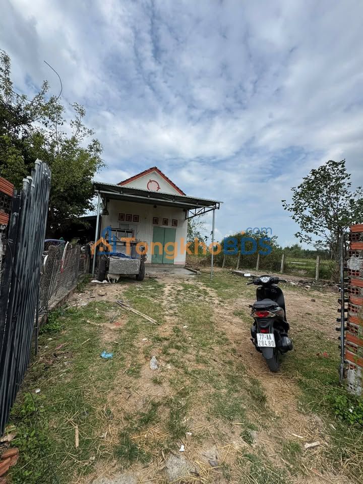 Bán Gấp Nhà Cấp 4 300m² Full Thổ Cư Bình Định - Giá Tốt