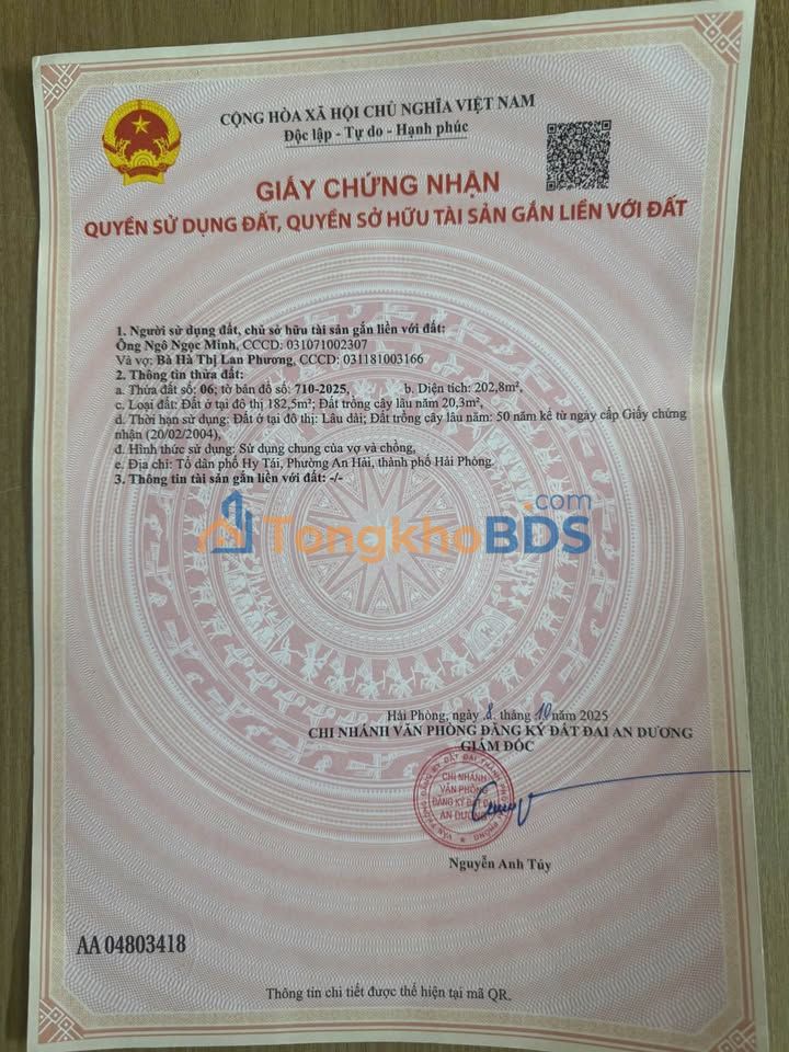 Đất nền 50m² Đồng Thái, Hải Phòng - Sổ đỏ chính chủ, ô tô tận đất