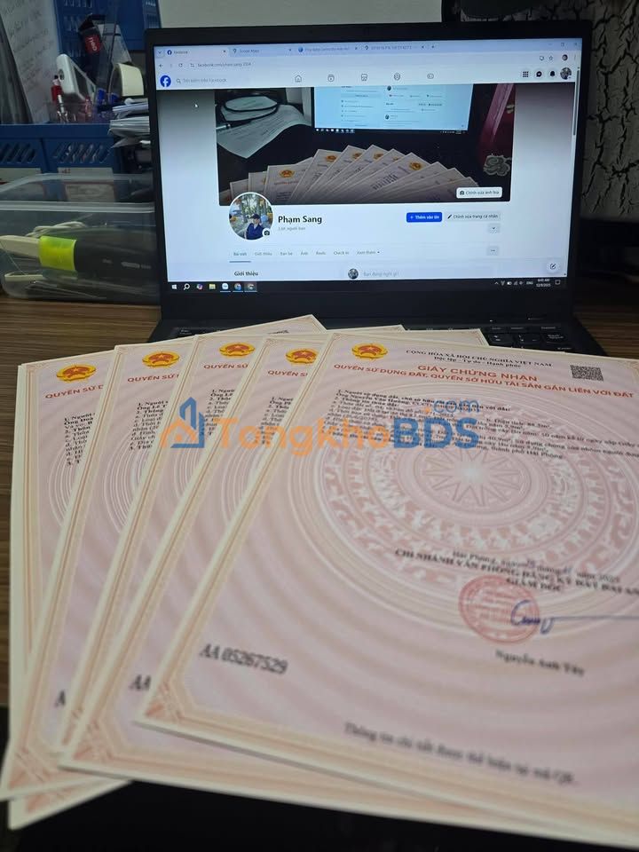 Bán Đất Nền TDP Hoàng Xá, An Lão, Hải Phòng - 60m² Giá Tốt Đầu Tư