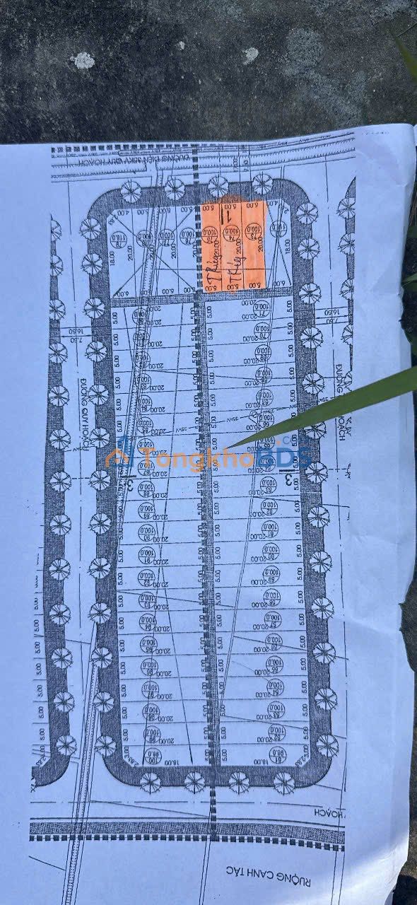 Đất Nền Đấu Giá An Lâm - 100m² - P. An Lạc, Chí Linh - Giá Tốt