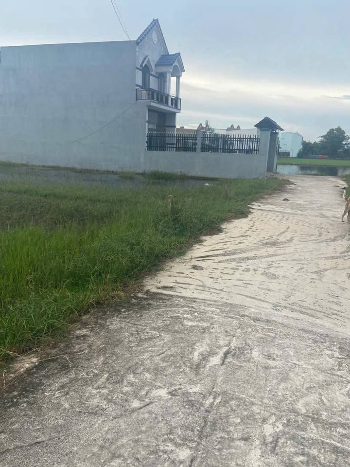 Đất Sổ Hồng Riêng Mỹ Hạnh Nam Đức Hòa 170m² Giá 1.15 Tỷ - Sẵn Sàng Giao Dịch