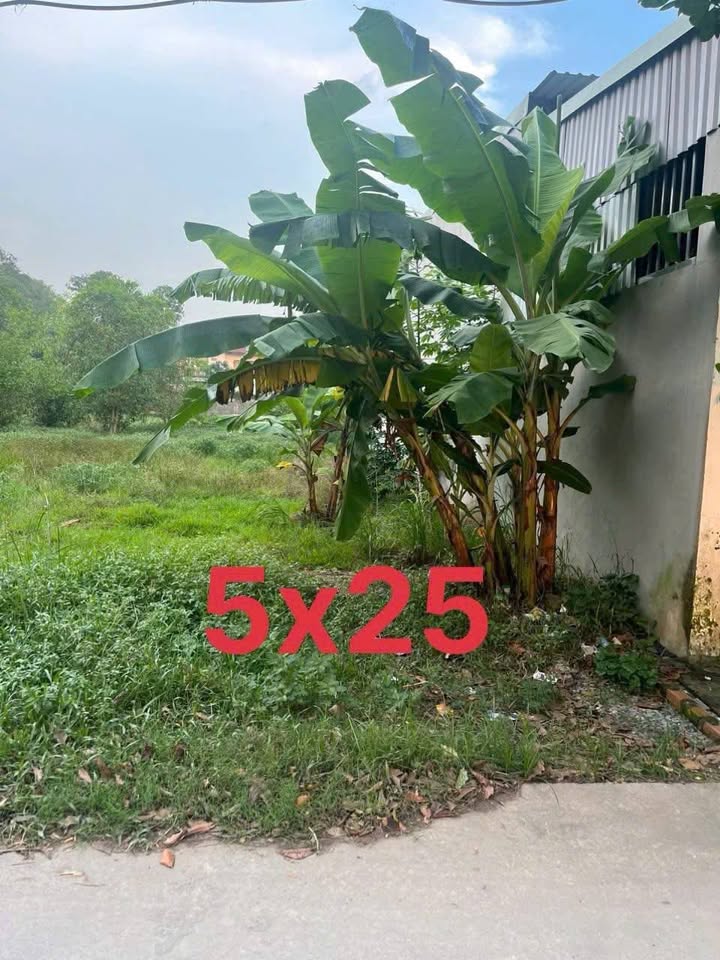 Đất Sổ Hồng Riêng 125m² Mặt Tiền Bê Tông Gần Hồ Sinh Thái Long An - Giá 1.5 Tỷ