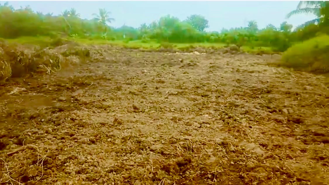 Đất Vườn Long An 1214m² Giá Tốt 1.1 Tỷ - Sổ Hồng Riêng