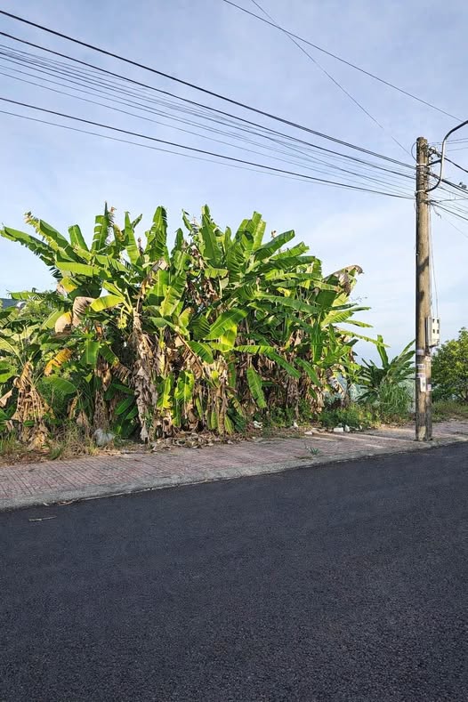 Đất nền Licogi Cà Mau 94m² 1 tỷ - Đất thổ cư 100%