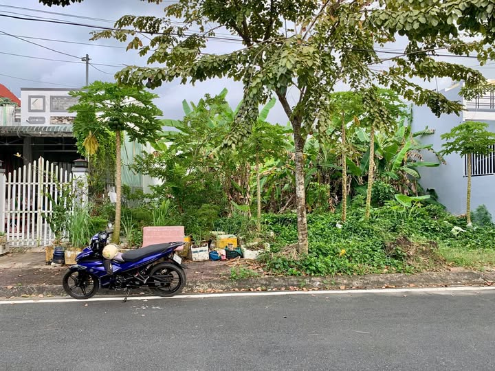 Đất nền Nam Cao Cà Mau 270m² 3.7 tỷ - Sổ hồng rõ ràng