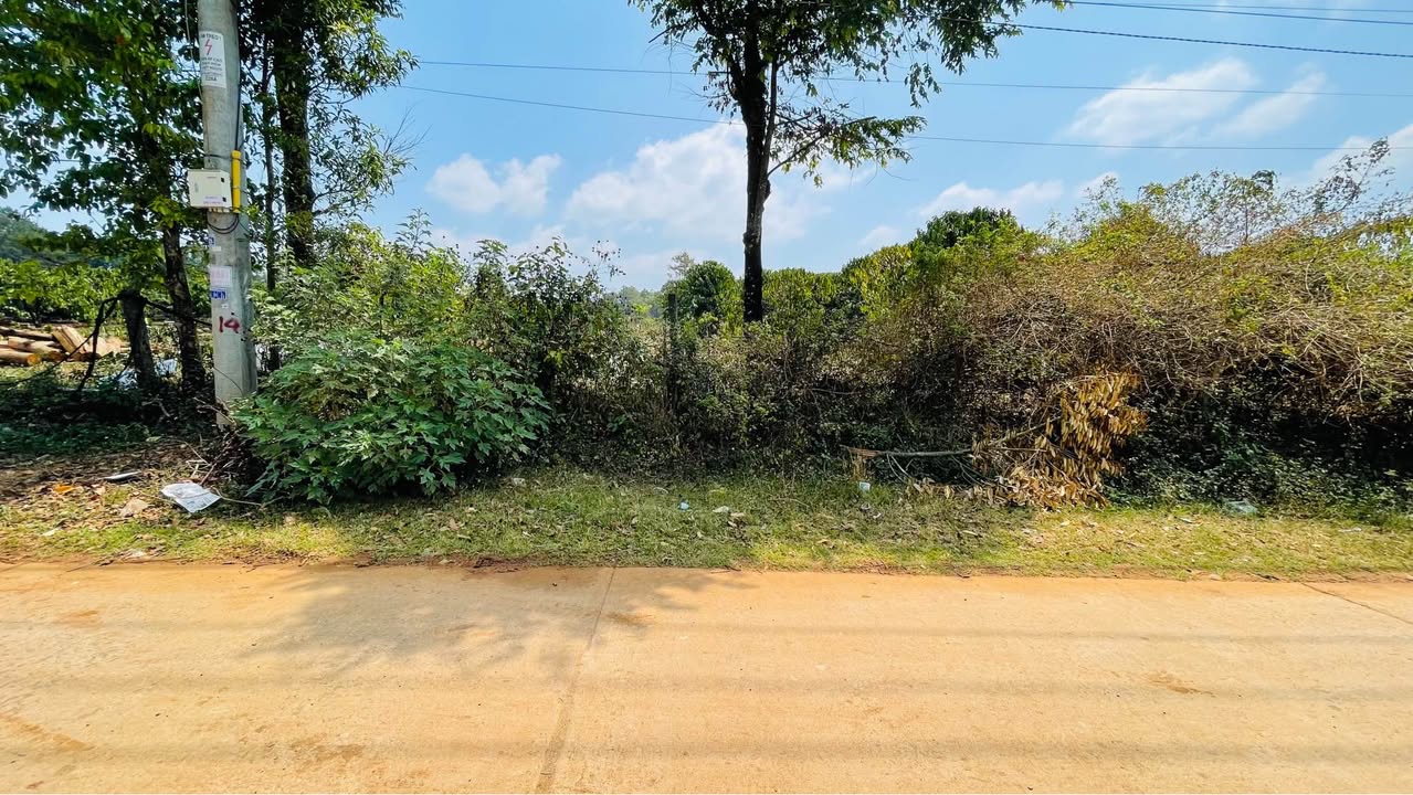 Bán Gấp 2 Lô Đất Thổ Cư 110m² Hẻm Ký Con, Pleiku - Giá Tốt!