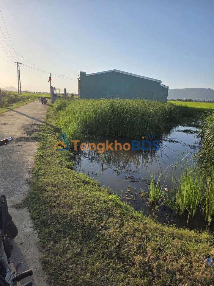 Bán Gấp Lô Góc 150m² Thổ Cư Tại Cát Chánh, Bình Định - Giá 4xx Triệu