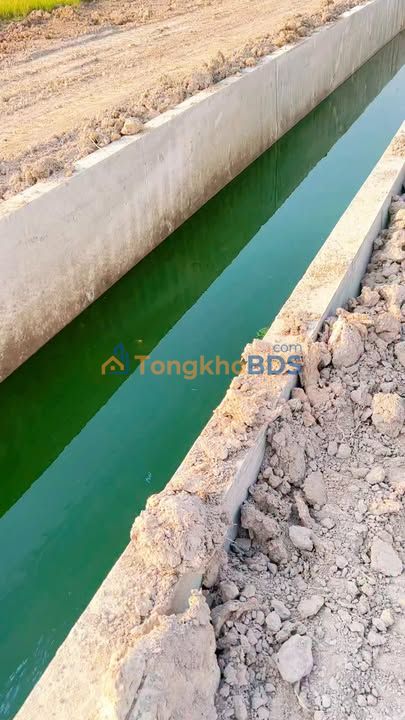 Bán Đất Vườn Bến Cầu, Tây Ninh 1023.8m² - Sổ Hồng Riêng