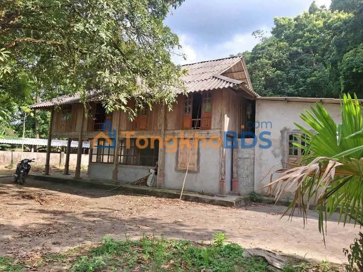 Bán đất vườn Hòa Bình 11000m² - Nhà sàn, ao cá, cây ăn quả - Giá 2.x tỷ