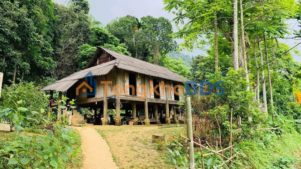 Đất nền Nhân Mỹ Tân Lạc 800m² 6xx triệu - Sổ hồng sẵn