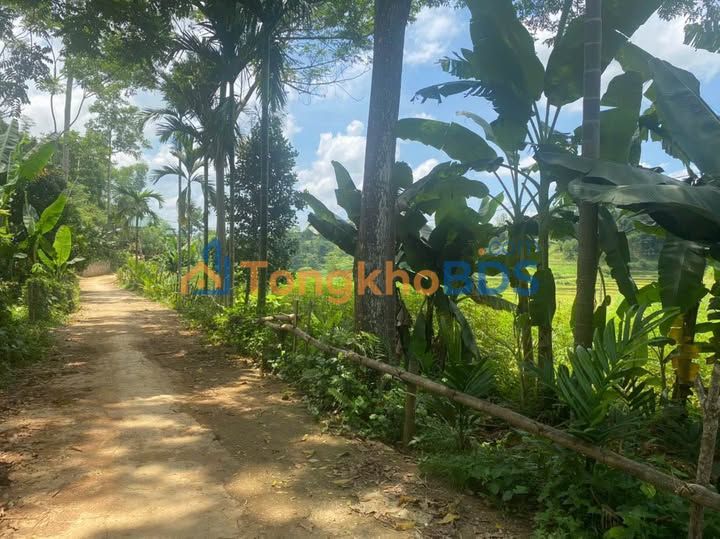 Bán đất 837m² có nhà 2 tầng, view đồng đẹp tại Tân Lạc