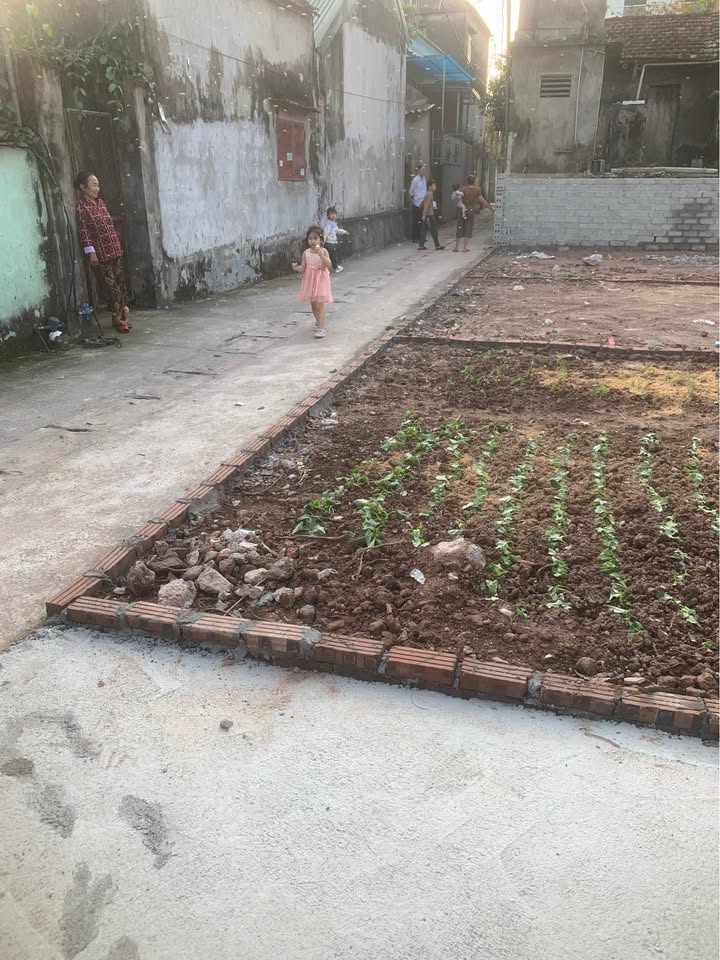 Đất nền Nhật Tự, Duy Tiên 56m² - Sổ đỏ chính chủ, sẵn sàng xây nhà